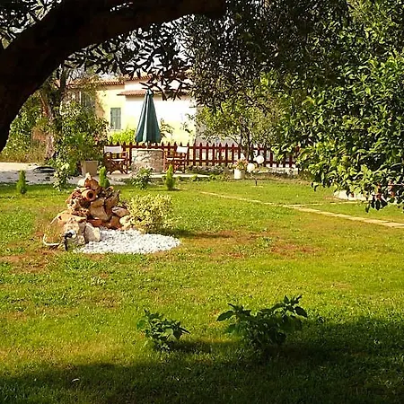 فندق Avra
